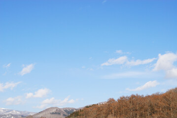 冬　木　山　空