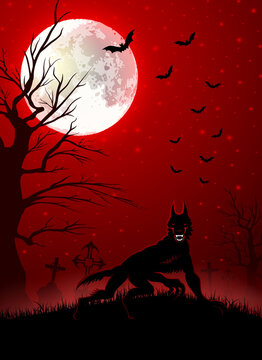 Halloween background with black wolf
