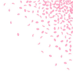 Sakura petals falling down. Romantic pink silky sm