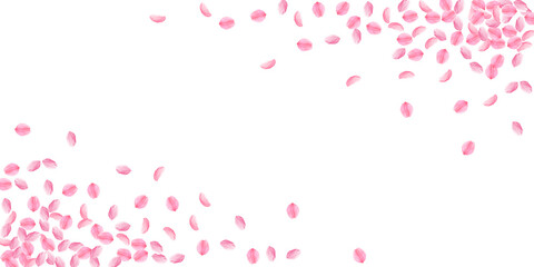 Sakura petals falling down. Romantic pink bright m