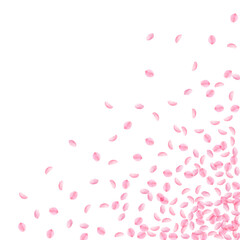 Sakura petals falling down. Romantic pink silky sm