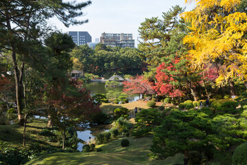 Obraz premium 秋の縮景園