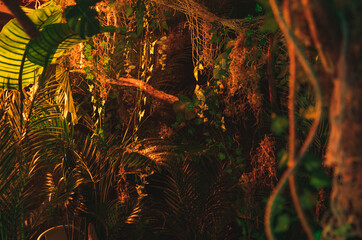 Vue d'une installation de feuilles et branches à ambiance tropicale avec lumière orangée