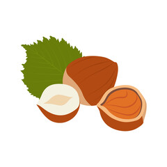 Hazelnut whole, chopped into halves and leaves. 