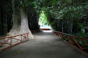 Zoo