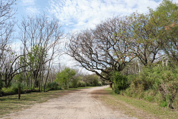 Walking trail in the Costanera Sur ecological reserve, Buenos Aires, Argentina