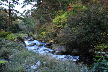 《山梨県》昇仙峡の紅葉始まり