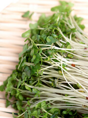 ブロッコリースプラウト