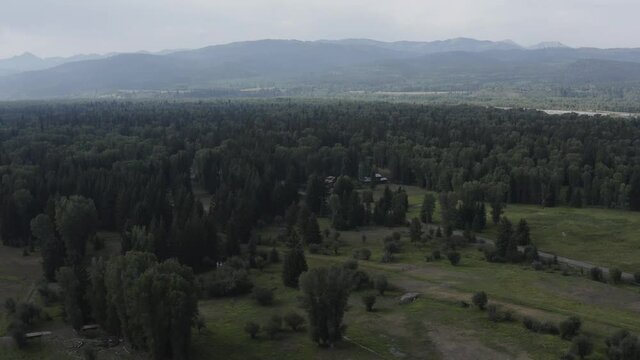 Wyoming Teton mountain range. Aerial View of Aspen Forest by Snake River, Outside of Jackson Hole, USA. Green Landscape on Summer Evening - Cloudy dusk shot tracking forward above the trees.