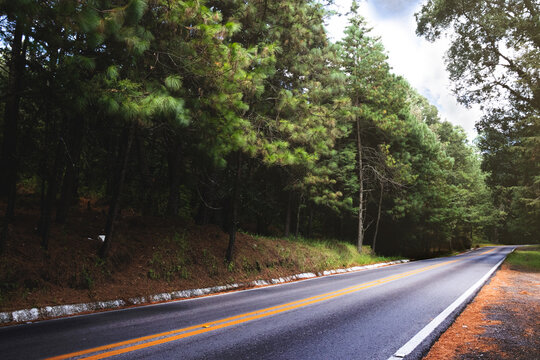 Camino, viaje, morelos, mexico, m&eacute;xico, aventura, carretera, bosque, pino, pinos, logo, texto, asfalto, carretera, autopista, naturaleza, sol, direcci&oacute;n, direccion, destino, hermoso