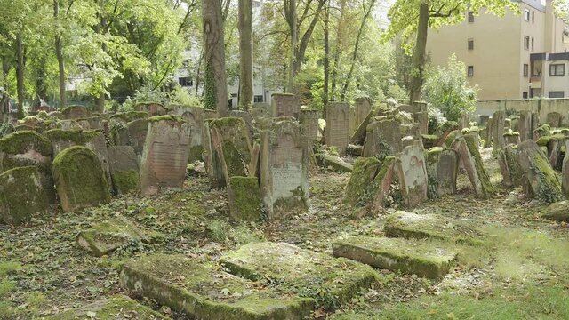 Old Jewish Cemetery with gravestones covered with leaves in Battonstrasse next to Judengasse in Frankfurt am Main Germany.  800 Years of Jewish History. 4k