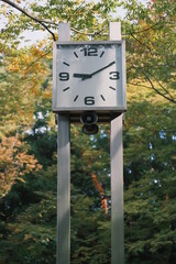 clock in the park during autumn