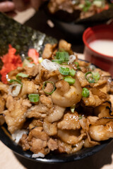 Japanese donburi with hot sliced pork