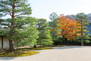 21遺産京都天龍寺の庭園