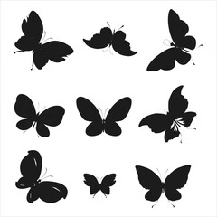 Fototapeta premium 1952