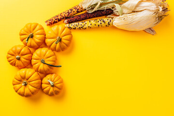 autumn pumpkins and corn on yellow clean background with copy space.