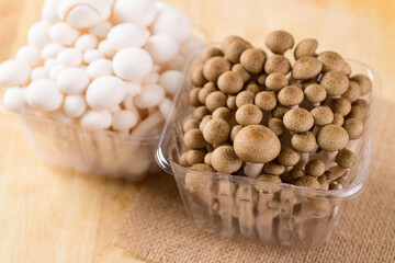 Fresh brown and white Shimeji mushroom in a plastic bowl on wooden background, Asian mushroom