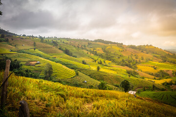 Fototapeta na wymiar Landscape of Rice terraces on mountain at Ban Pa Pong Piang, Doi Din Thanon, Chiang Mai, Thailand