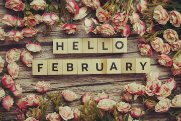 Hello February alphabet letters with flower decoration on wooden background