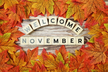 Naklejka na ściany i meble Welcome November alphabet letter with maple leaves frame on wooden background