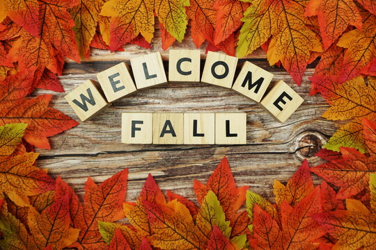 Welcome Fall alphabet letter with maple leaves frame on wooden background