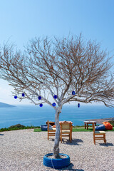 tree on the mountain with sea view
