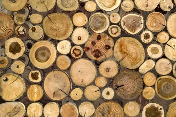 Möbelaufkleber logging and storage of firewood © bluraz