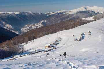 Snowy winter in the Ukrainian Carpathian mountains with traveling tourists