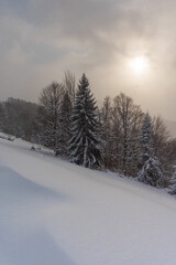 Snowy winter in the Ukrainian Carpathian mountains with traveling tourists