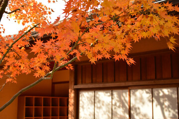 九州の小倉城庭園の日本家屋と紅葉風景
