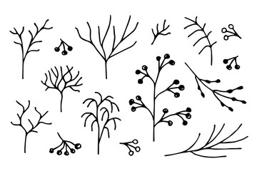 Hand-drawn floral vector drawing in black outline. A set of natural elements for decoration, creating patterns. Winter twigs, trees without foliage, branch, berries.