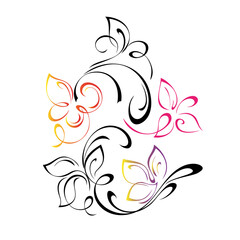ornament 1354. decorative element with stylized flowers, leaves and swirls in color lines on a white background