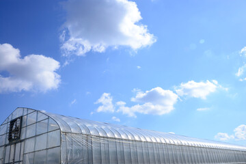 ビニールハウス