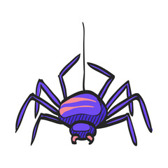 Spider icon in color drawing. Animal arachnid spooky Halloween