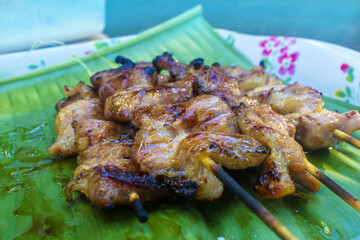 pork  on the grill