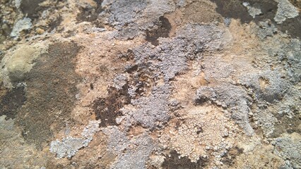texture of stone