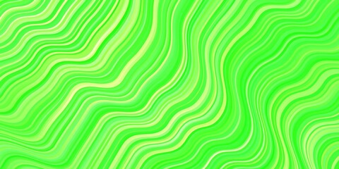 Light Green vector background with curves.