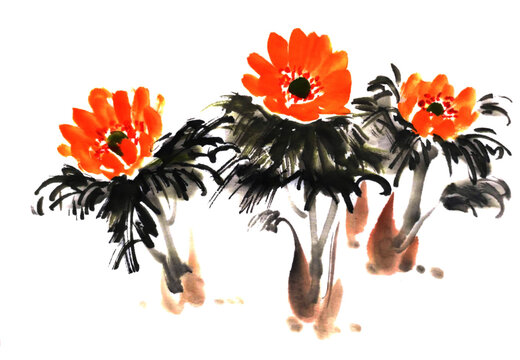 1 008 Best 福寿草 Images Stock Photos Vectors Adobe Stock