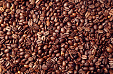 Roasted coffee beans