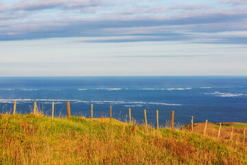 Obraz premium New Zealand coast