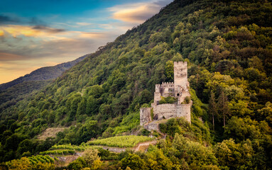 Fototapeta na wymiar Autumn vineyards under old ruin of Hinterhaus castle in Spitz. Wachau valley. Lower Austria.