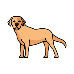 golden retriever dog pet mascot breed character