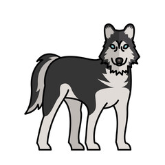 siberian wolf dog pet mascot breed character