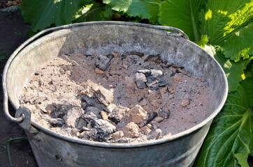 Charcoal fertilizer. Organic ash for soil enrichment. Potash fertilizer for the garden.