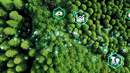 環境イメージ　エコロジー　SDGs