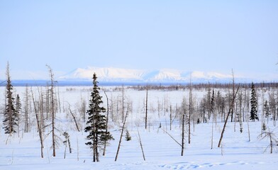 the Putorana plateau, on the Taimyr Peninsula