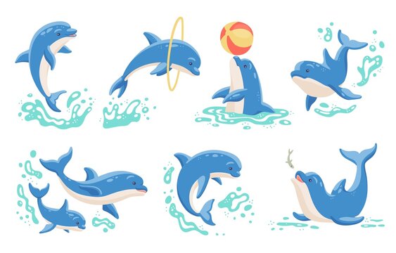 Dolphins Playing And Jumping In Water Cartoon Vector Isolated Illustrations Set.