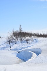 Fototapeta na wymiar Taimyr tundra in spring
