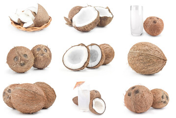 Set of coconut isolated on white