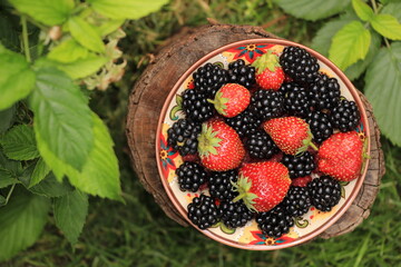 
red strawberries and raspberries around green raspberry leaves